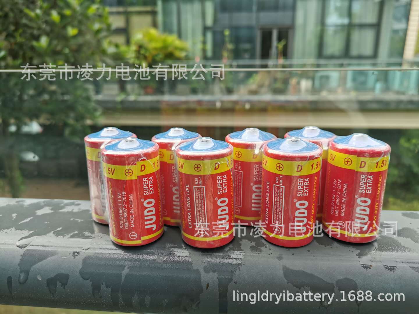 大號電池，手電筒大號電池